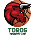 Toros de Cayey