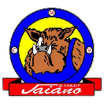 Minibasket Valbisenzio