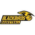Güssing Blackbirds