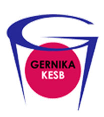 Lointek Gernika Bizkaia