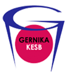 Lointek Gernika Bizkaia