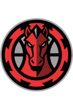 MUSTANGS ASSOCIATION
