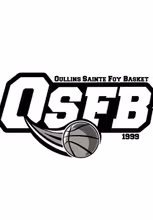 IE - CTC LYON SO BASKET TERRITOIRE